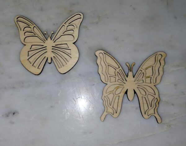 pair of butter fly fridge magnets